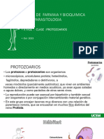 II Fase Clase 4 Protozoarios