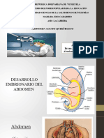 ABDOMEN AGUDO QURURGICO