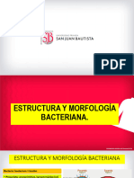 Clase 2 Morfologia Bacteriana