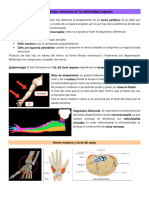 Atrapamientos Nerviosos en La Extremidad Superior