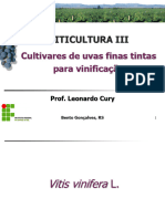 Aula 11 - Cultivares de Uva Tinta para Vinificação (3)