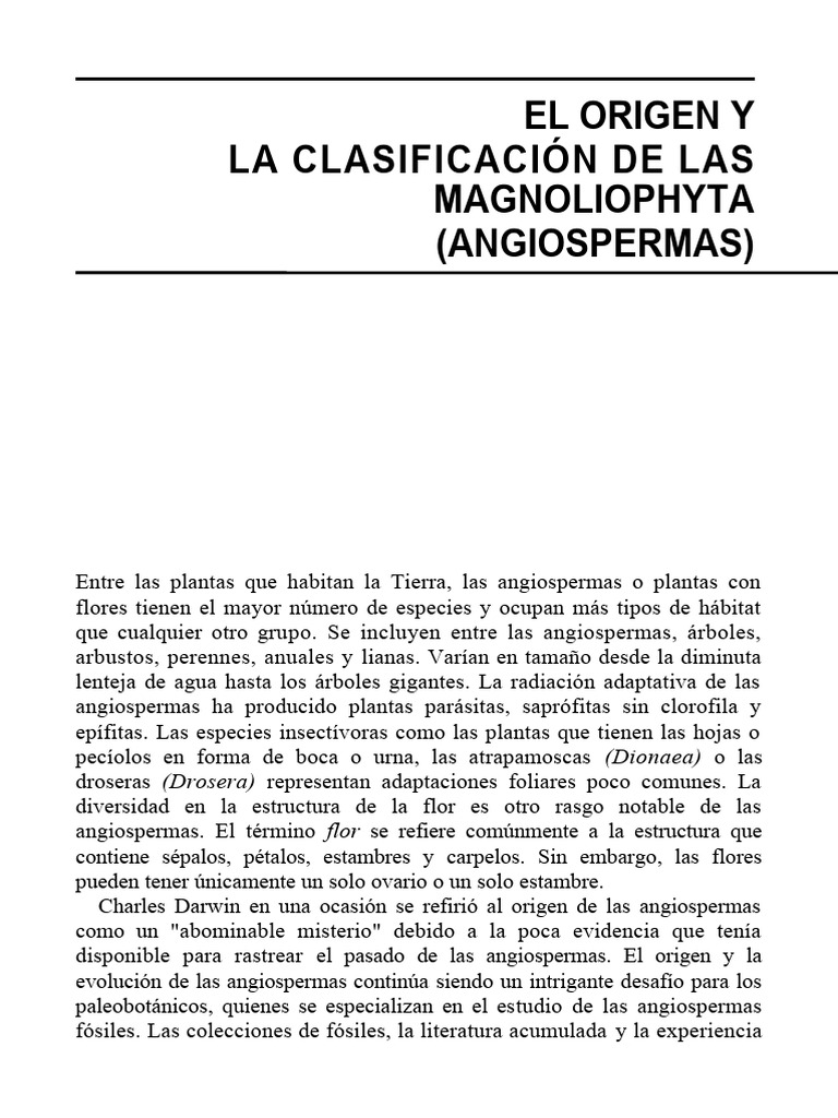 Origen y Clasificacion de Angiospermas | PDF | Flores | Polinización