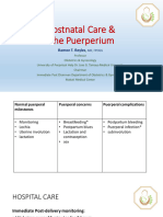 Postnatal Care & The Puerperium: Ramon T. Reyles