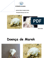 Doencas Das Aves
