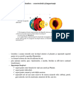 Litosfera. Caracteristici. Structura Internă A P