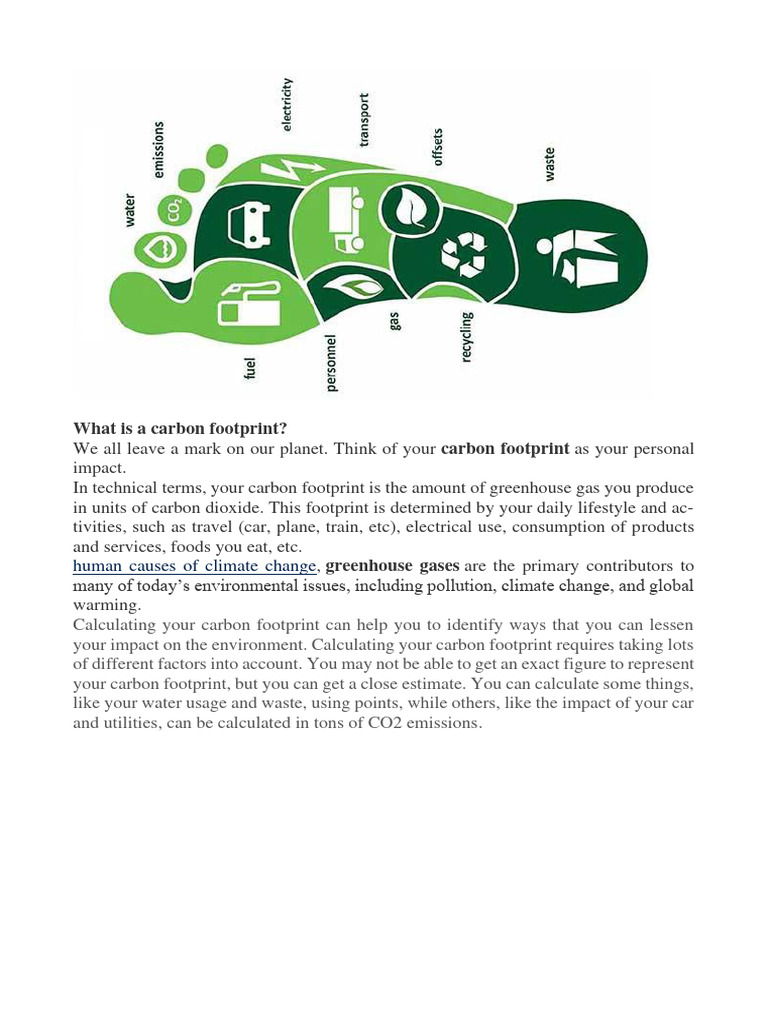 Carbon foot print | PDF | Carbon Footprint | Climate Change