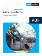 Guiadeestudios Pruebapractiva Piense2