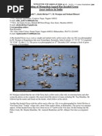 Download Bar-Headed Goose Paper F by api-3814676 SN7223442 doc pdf