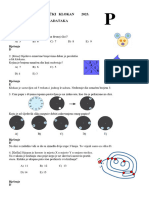 pcelice-2023-rj