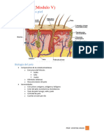 ALOPECIA (Modulo V) Q