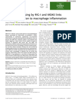 Sars-Cov-2 Sensing by Rig-I and Mda5 Links Epithelial Infection To Macrophage Inflammation