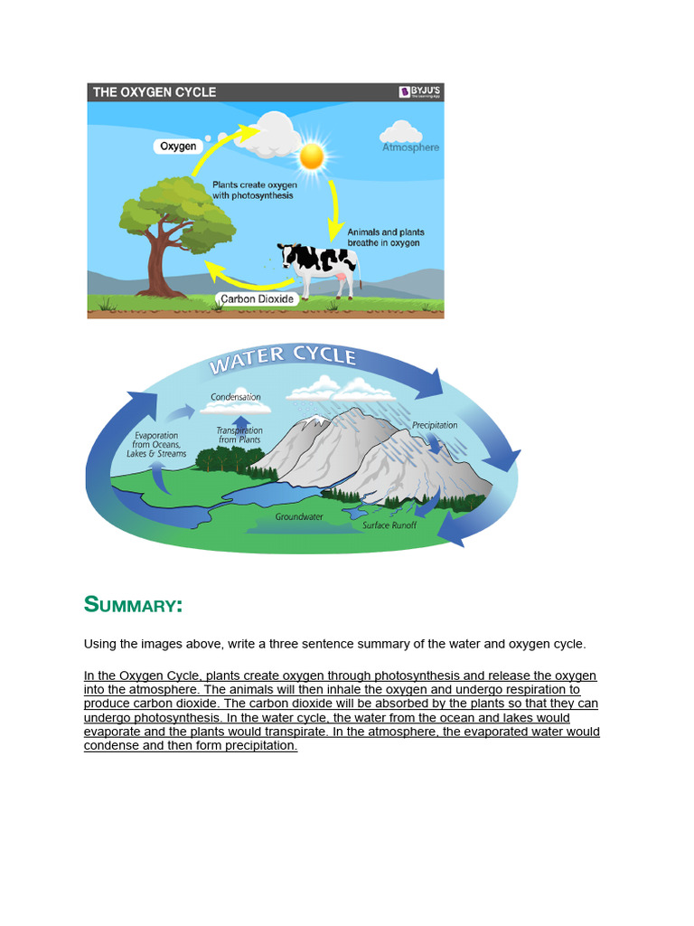 Water and Oxygen Cycle Explained | PDF
