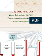 Toc Do Lang Hong Cau 2022