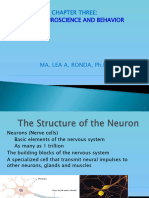 03 Neuroscience & Behavior