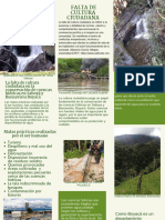 Brochure Presentación Corporativa Con Fotografías Verde y Blanco