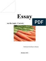 Carrot Essay