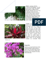 PLANTRESEARCH