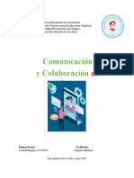 Comunicación y Colaboración Informatica #2