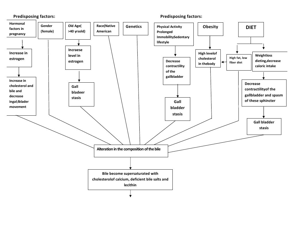 Document Analysis and Data Processing | PDF | Science & Mathematics