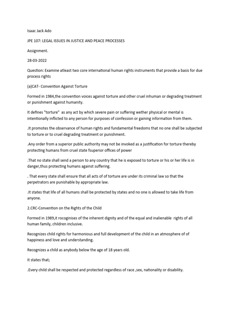 Core Human Rights Instruments Explained | PDF