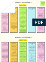 Acciones Constitucionales