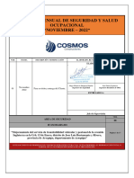 If-SSOMARS-001, Informe Mensual Noviembre SSOMA