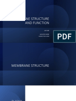 4. Plasma Membrane Stucture and Function