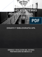 VI DERECHO Y SISTEMAS PENITENCIARIOS (Penología - Sist Penit Mexico 2SA Part Tema VI