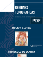 Regiones Topograficas