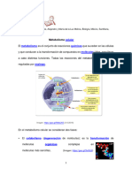 Salud 2 Metabol - Celular