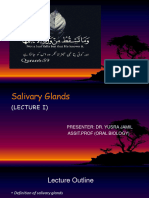 Salivary Gland 1