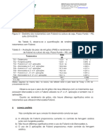 Relatório Fulland - Soja - SEEDS 2016 1.3