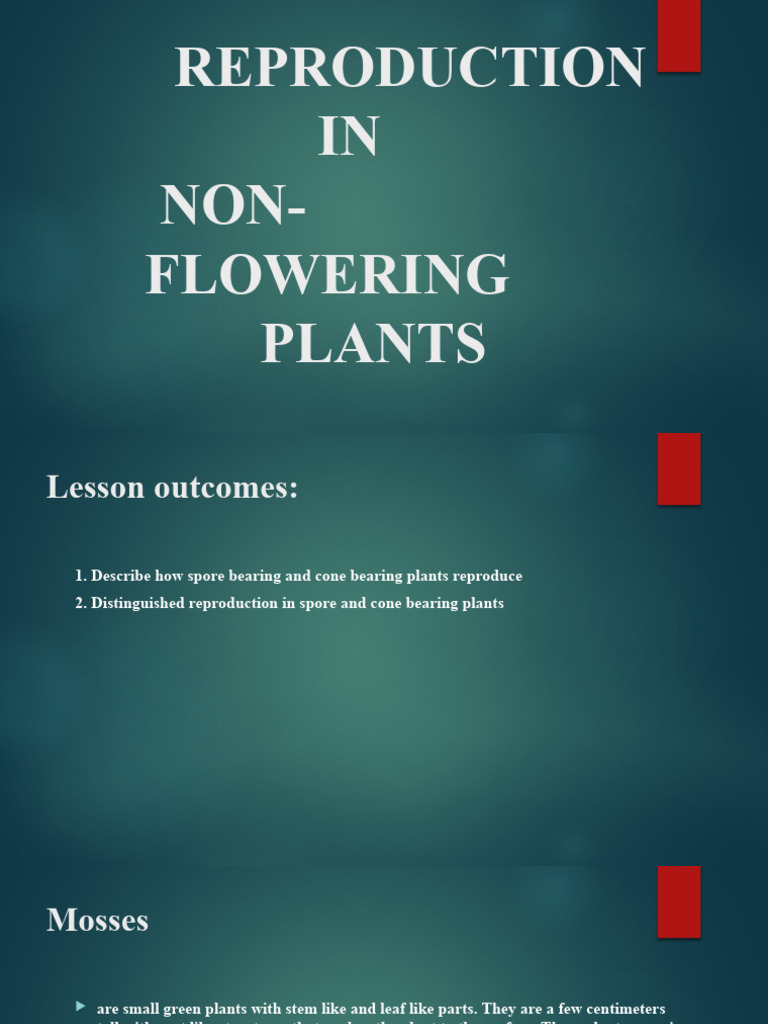 Reproduction in Non Flowering Plants PDF Sexual Reproduction Spore