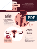 Cartaz de Ciências Funções Do Sistema Reprodutor Humano