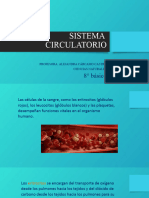 Sistema Circulatorio