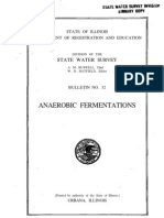 Anaerobic Ferment at Ions