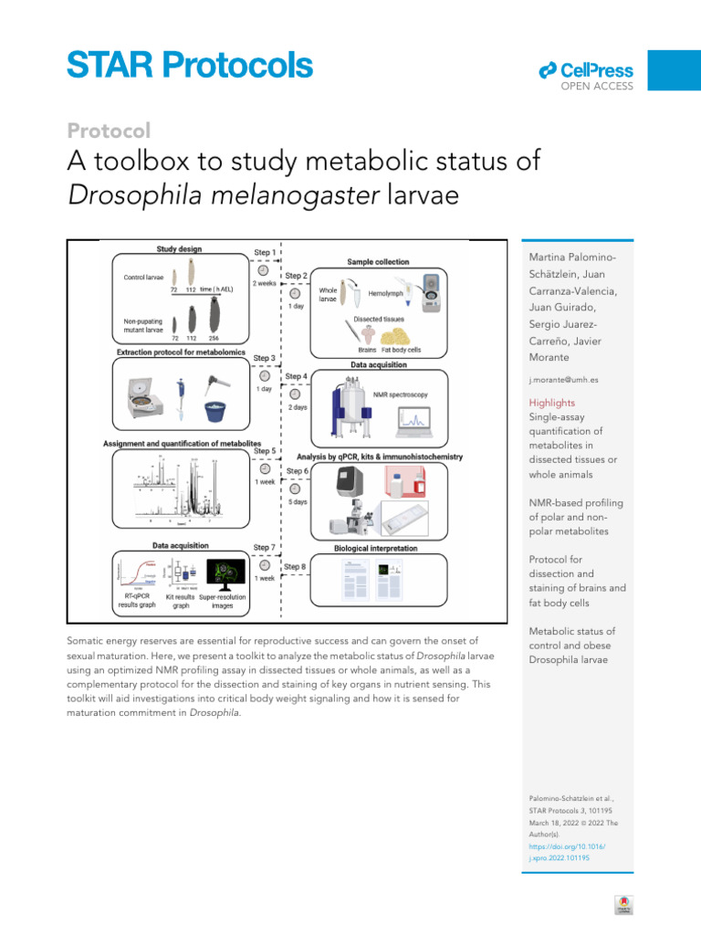 Drosophila Melanogaster Larvae | PDF | Mathematical Analysis | Two ...