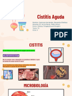 Cistitis Aguda