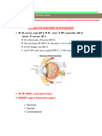 Anatomy and Physiology Eye