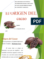 Cacao