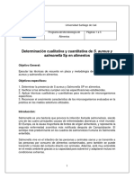 Determinación de Salmonella y S Aureus en Alimentos 2024