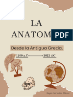 La anatomía