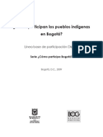 Como Participan Pueblos Indigenas Bogota