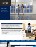 Software Assurance Program Guide