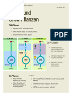 Bio Handout Pflanzen