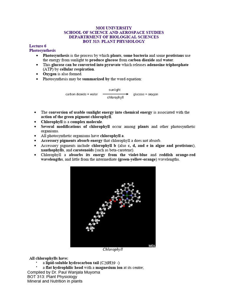 Lecture 6 Photosynthesis | PDF | Photosynthesis | Nicotinamide Adenine ...