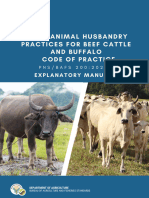 Em Gahp For Beef Cattle and Buffalo