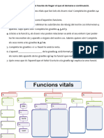 activitats esquema funcions vitals