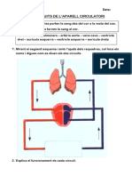 Estructura Cooperativa Circuits Aparell Circulatori