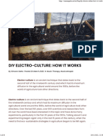 DIY Electroculture_ How It Works - Simone Gatto